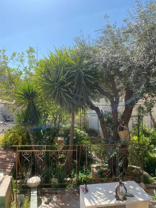 Central House With Beautiful Garden Amman Bagian luar foto