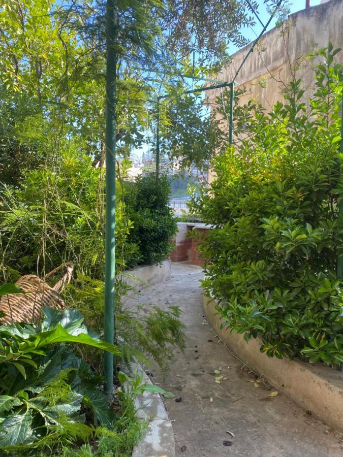 Central House With Beautiful Garden Amman Bagian luar foto